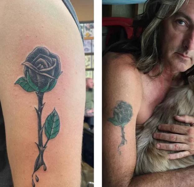 Family Matching Tattoos (20 pics)