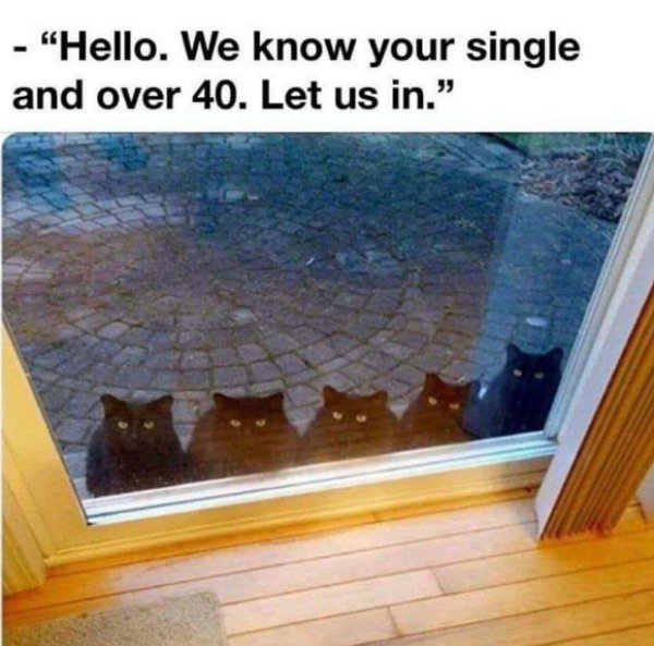So True (34 pics)