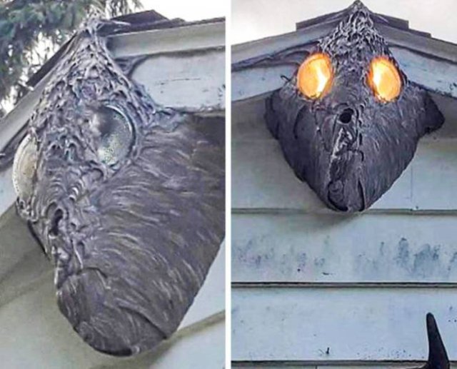 Look Twice (40 pics)