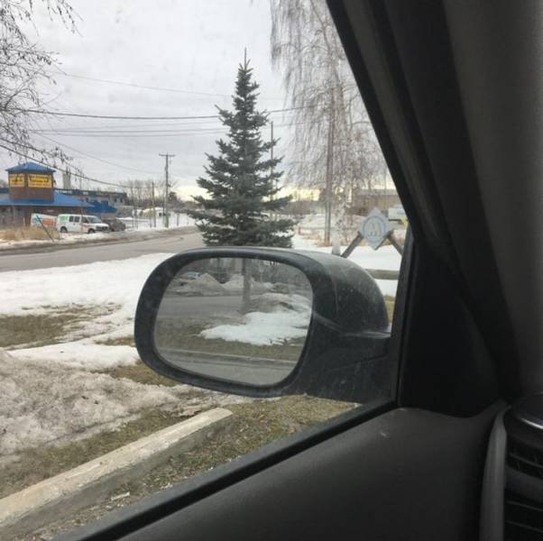 Look Twice (40 pics)
