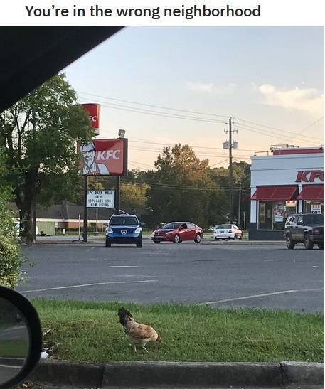 Acid Picdump. Part 2 (96 pics)
