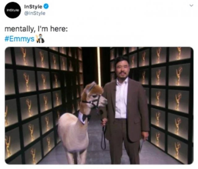 'Emmy' Memes (25 pics)