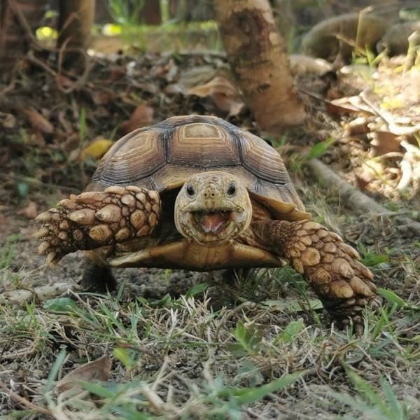 Impossible Things (24 pics) Impossible Things (24 pics)