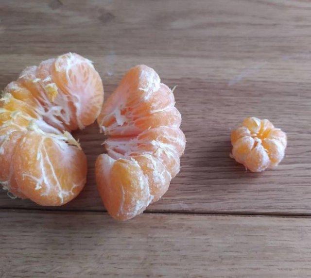 Impossible Things (24 pics) Impossible Things (24 pics)