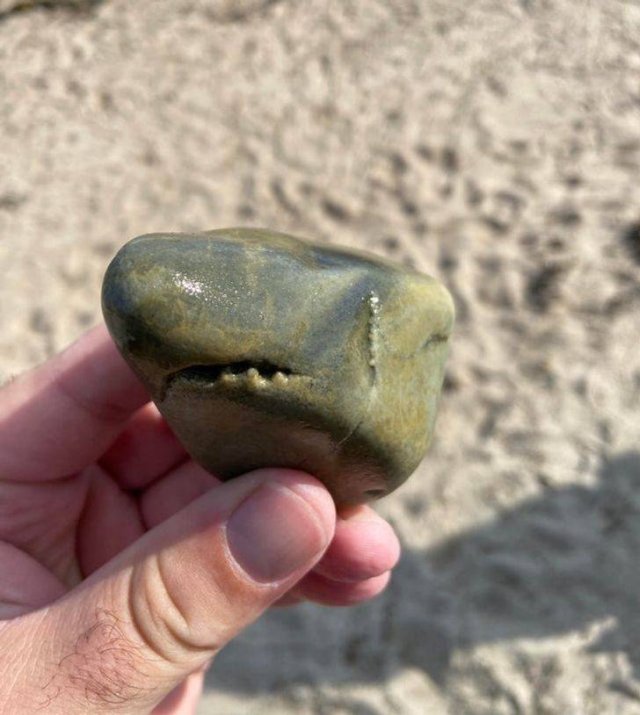 Impossible Things (24 pics) Impossible Things (24 pics)