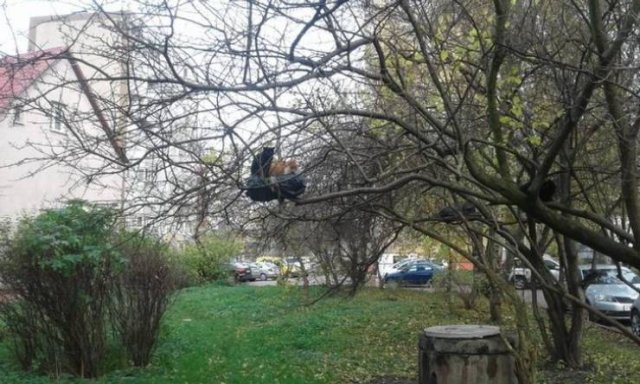 Impossible Things (24 pics) Impossible Things (24 pics)