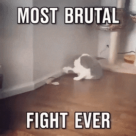 Acid Gifdump, September 22 (25 gifs)