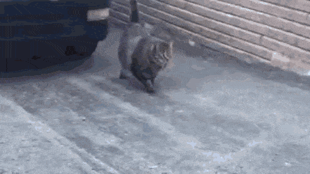 Acid Gifdump, September 22 (25 gifs)
