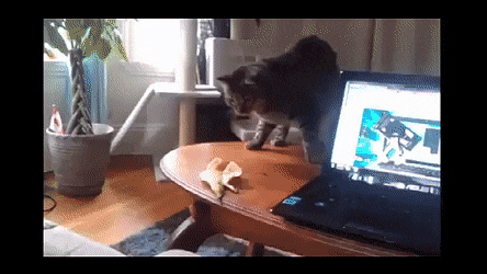 Acid Gifdump, September 22 (25 gifs)