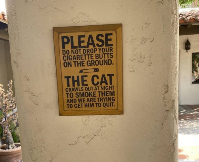 Acid Picdump. Part 2 (96 pics)
