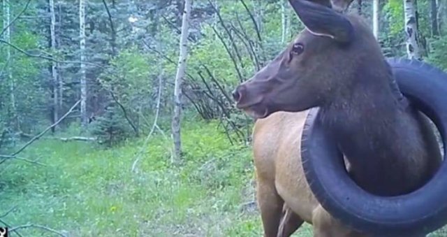 Acid Picdump. Part 2 (96 pics)