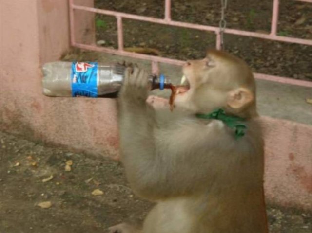 Acid Picdump. Part 2 (96 pics)