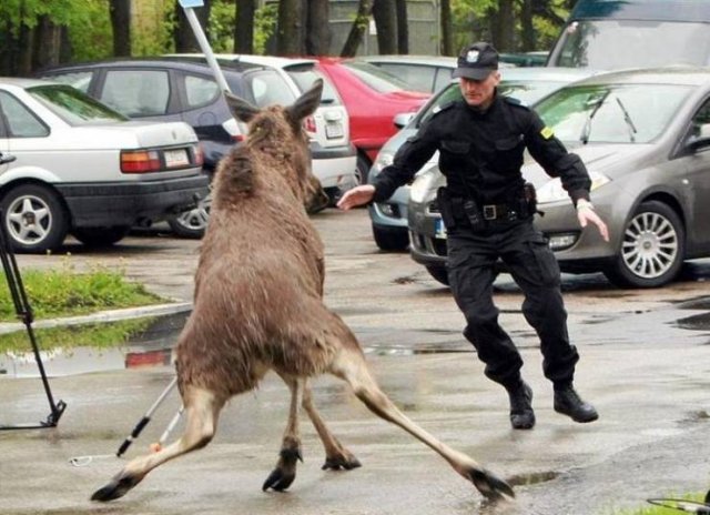 Acid Picdump. Part 2 (96 pics)