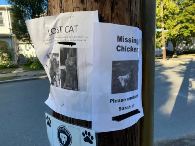 Acid Picdump. Part 2 (96 pics)