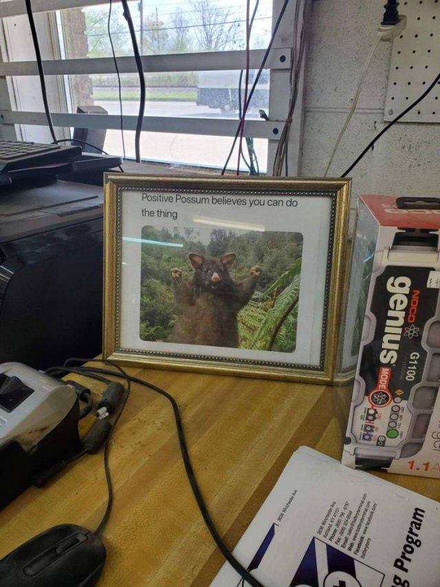 Acid Picdump. Part 2 (96 pics)