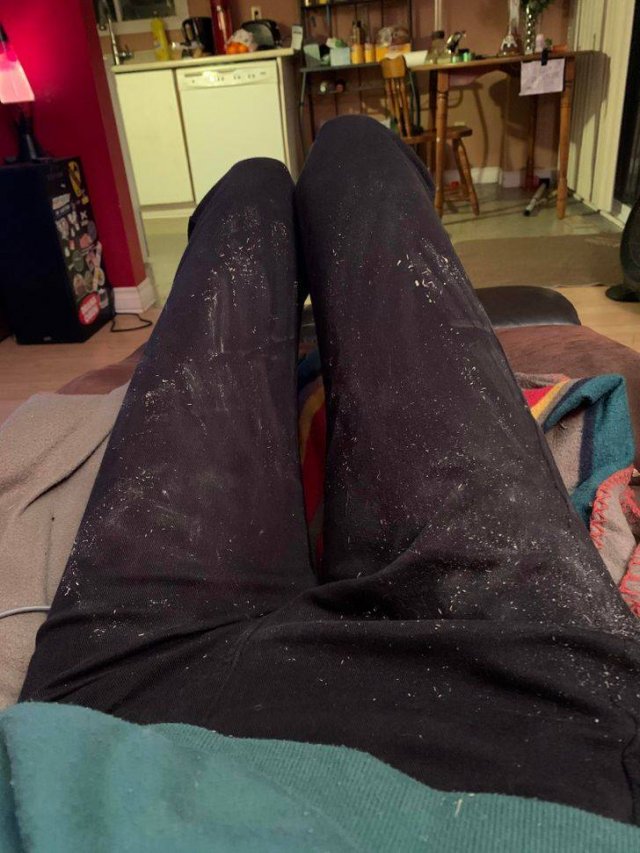 Awkward Situations (19 pics)