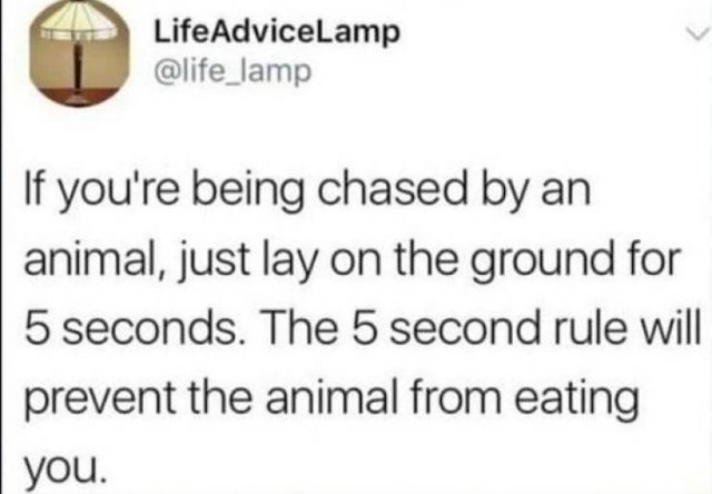 Lifehacks That Don't Work (25 pics)