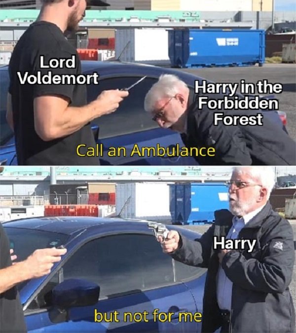 Harry Potter Memes (34 pics)