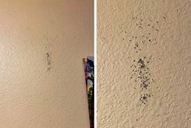 Time Changes Everything (40 pics) Time Changes Everything (40 pics)