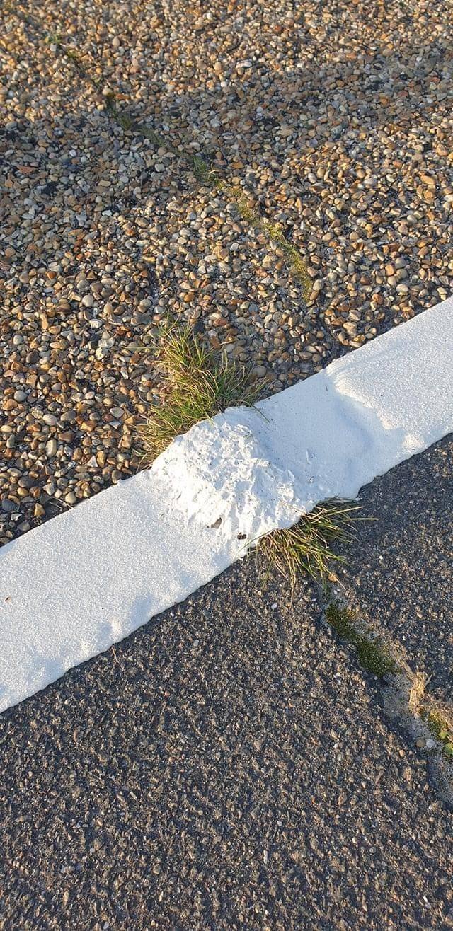 Almost Nailed It (52 pics)