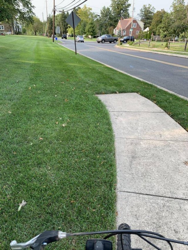 Almost Nailed It (52 pics)