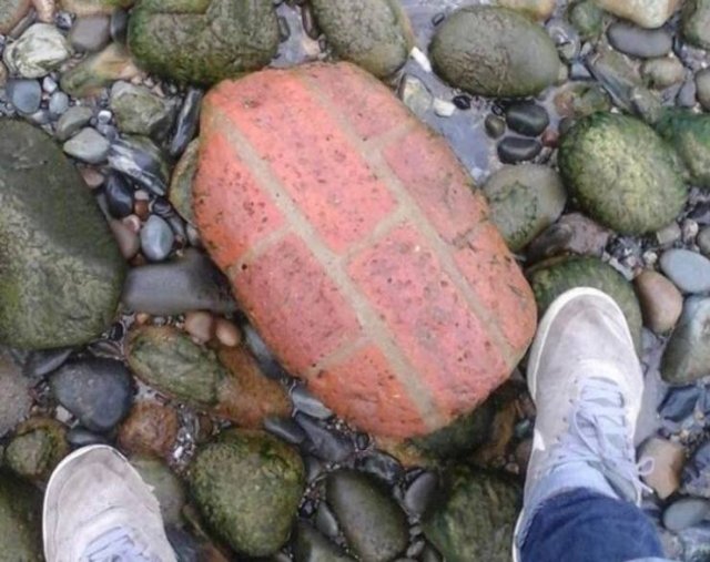 Time Changes Everything (40 pics) Time Changes Everything (40 pics)