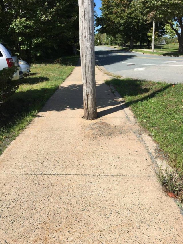 Almost Nailed It (52 pics)