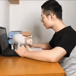 Acid Gifdump, September 23 (25 gifs)