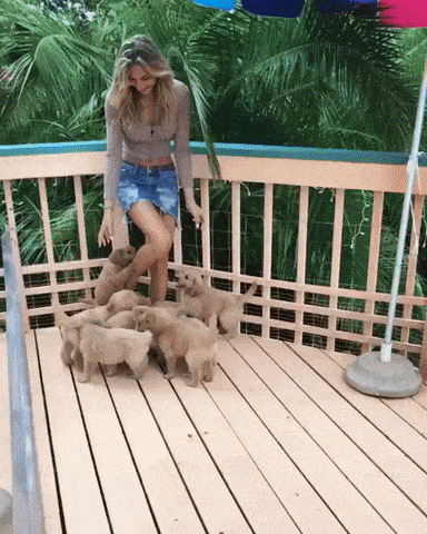 Acid Gifdump, September 23 (25 gifs)