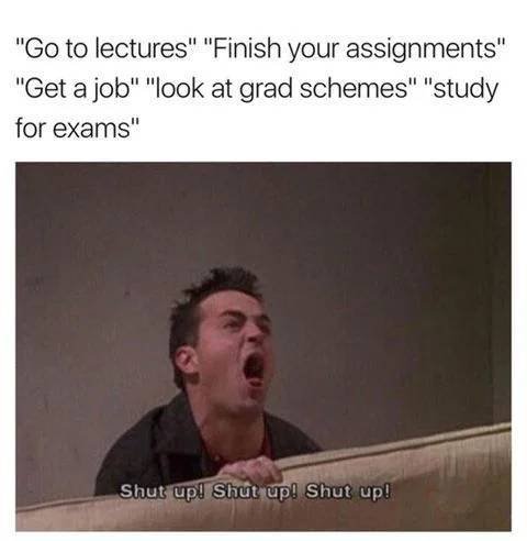 'Friends' Memes (33 pics)