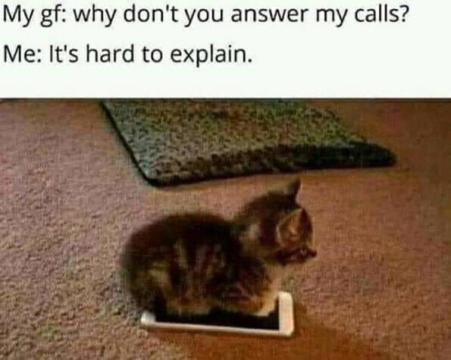 Wholesome Memes (35 pics)