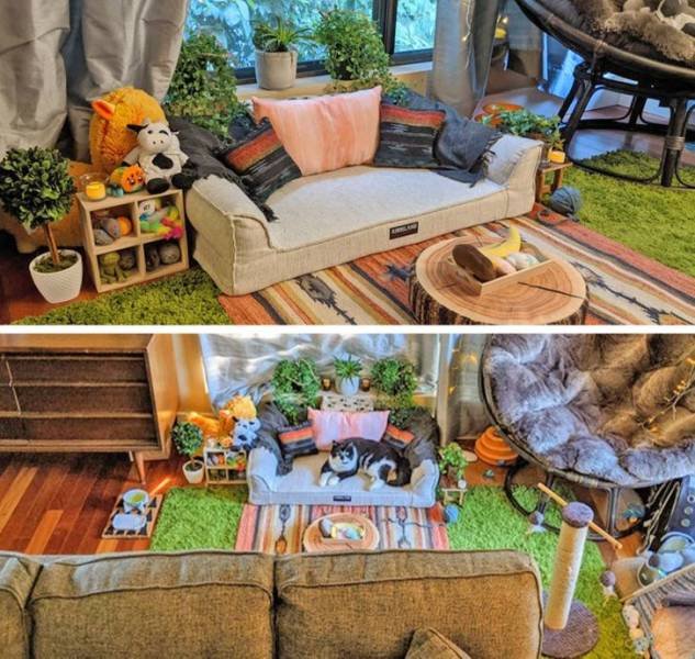 Amazing Home Renovations (20 pics)