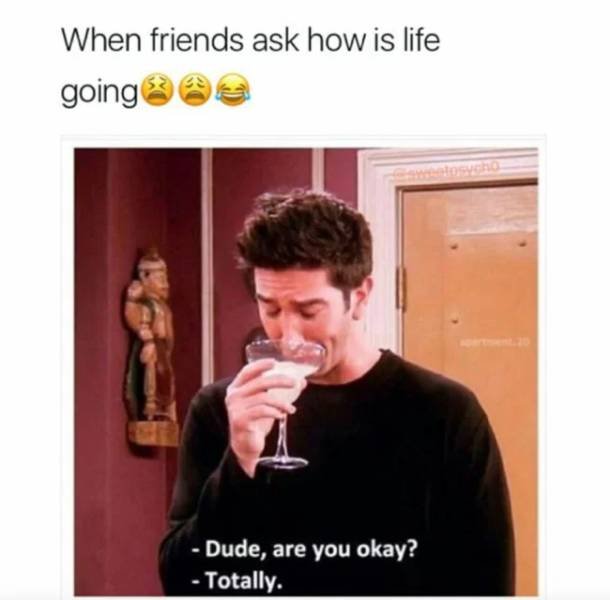 'Friends' Memes (33 pics)