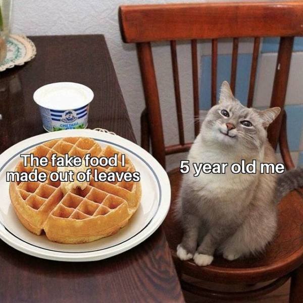 Wholesome Memes (35 pics)