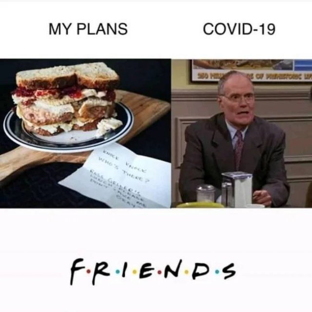 'Friends' Memes (33 pics)