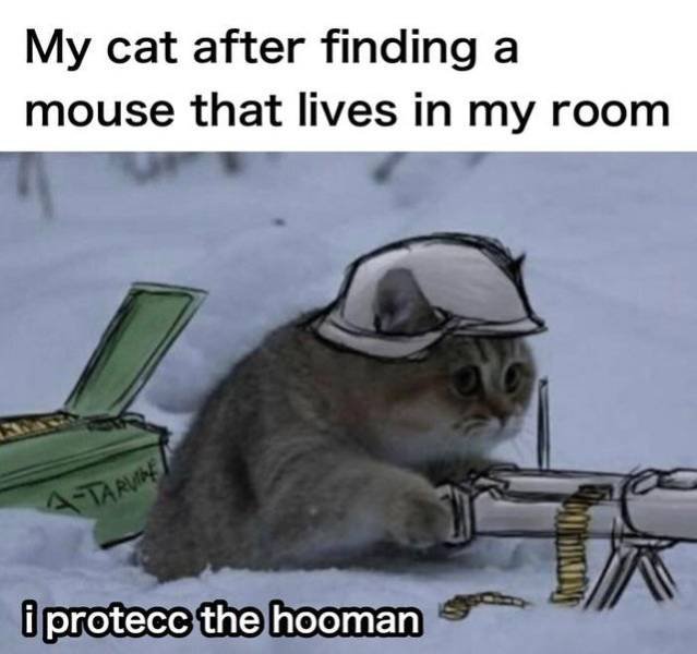 Wholesome Memes (35 pics)