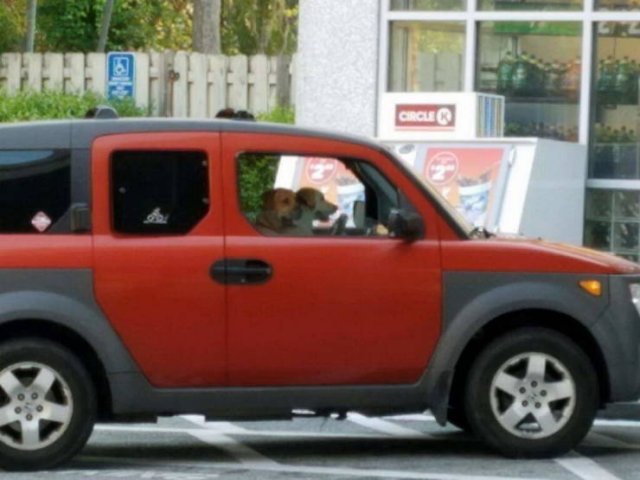 Weird Cars (50 pics)