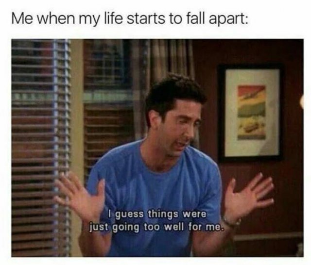 'Friends' Memes (33 pics)