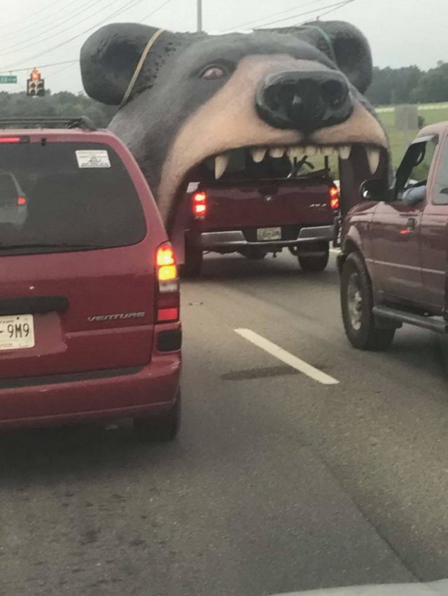 Weird Cars (50 pics)