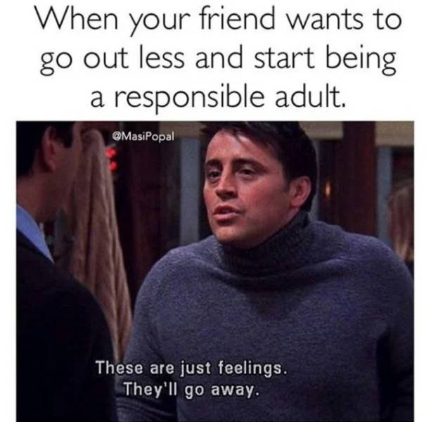 'Friends' Memes (33 pics)