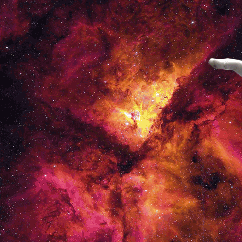 Space Cats (21 gifs)