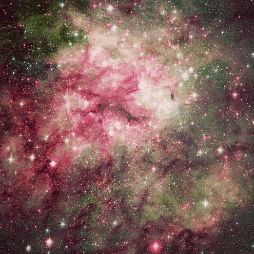 Space Cats (21 gifs)