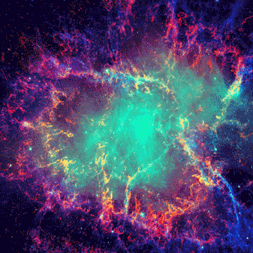 Space Cats (21 gifs)
