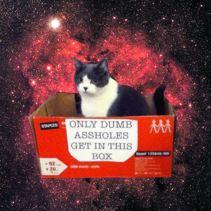 Space Cats (21 gifs)