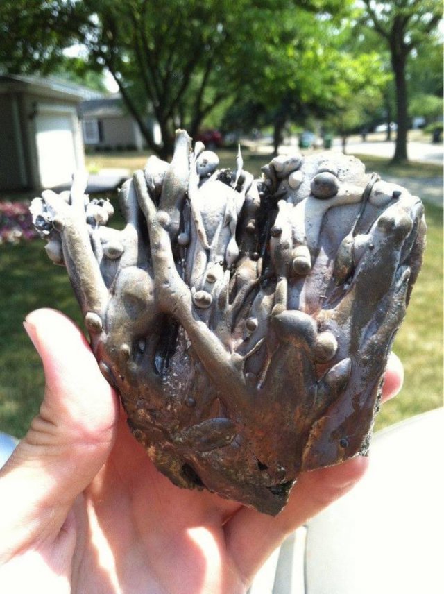 It's Science (20 pics)