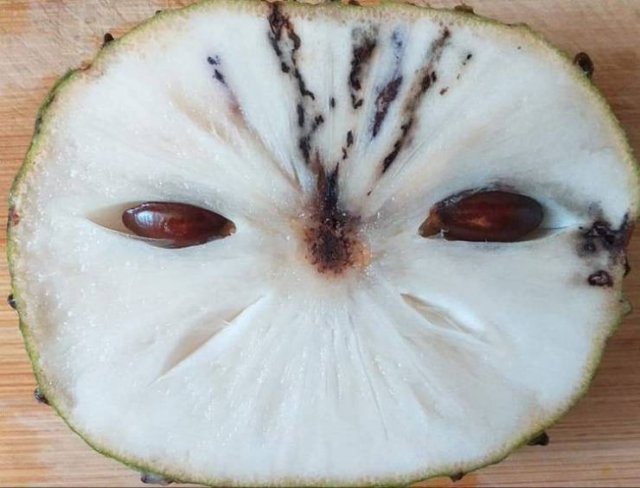 It's Science (20 pics)