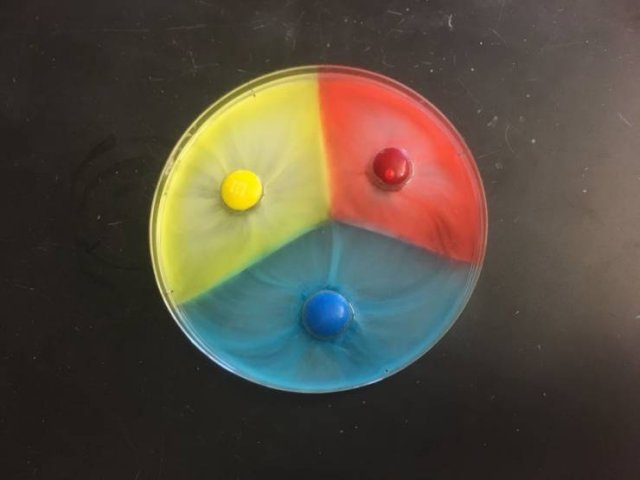 It's Science (20 pics)