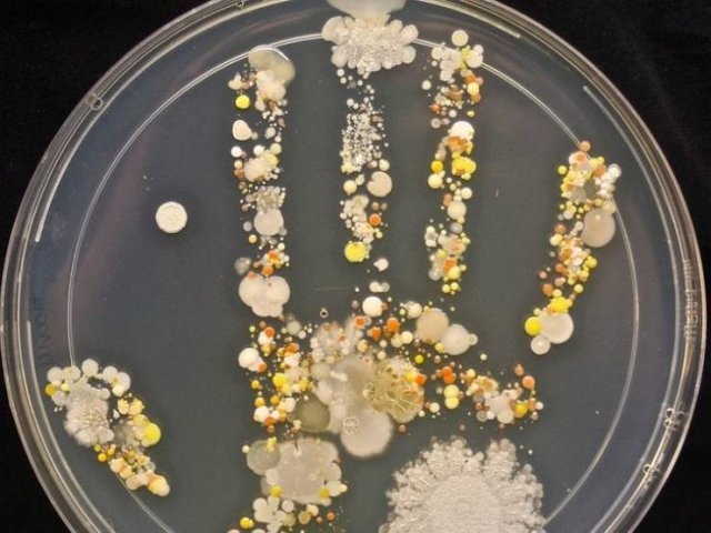 It's Science (20 pics)