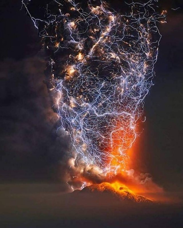 It's Science (20 pics)