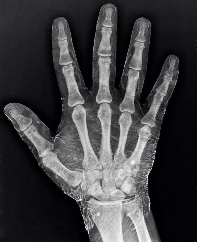 It's Science (20 pics)